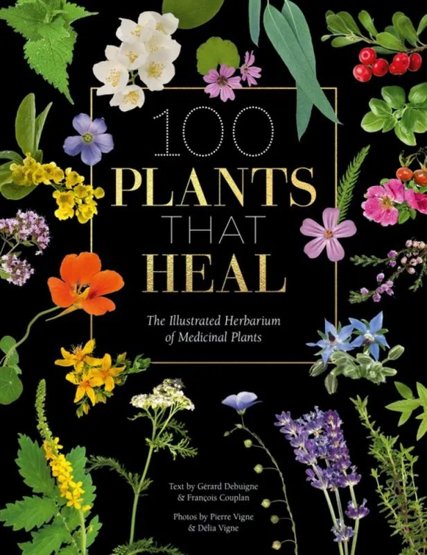 100 Plants that Heal: The Illustrated Herbarium of Medicinal Plants (Hardcover)