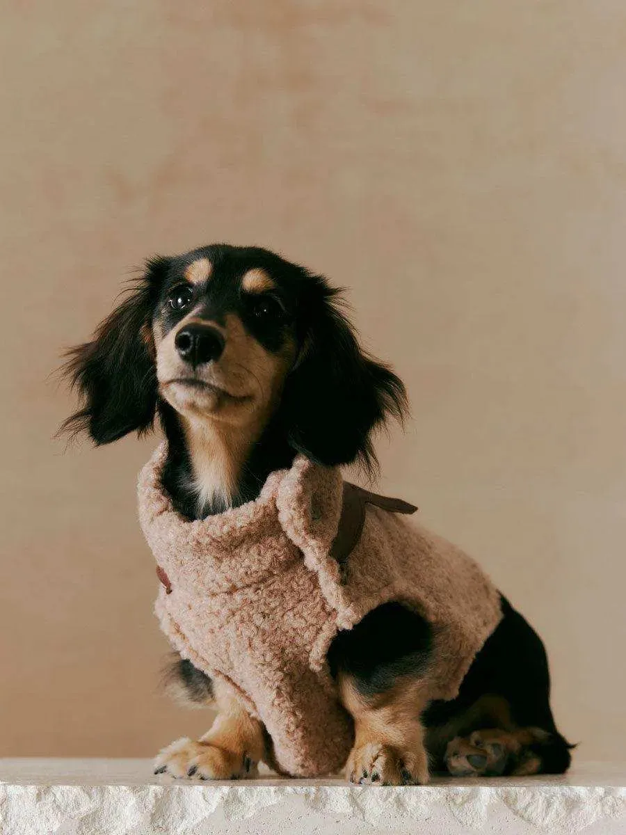 Luxe Lamb Wool Dog Winter Vest