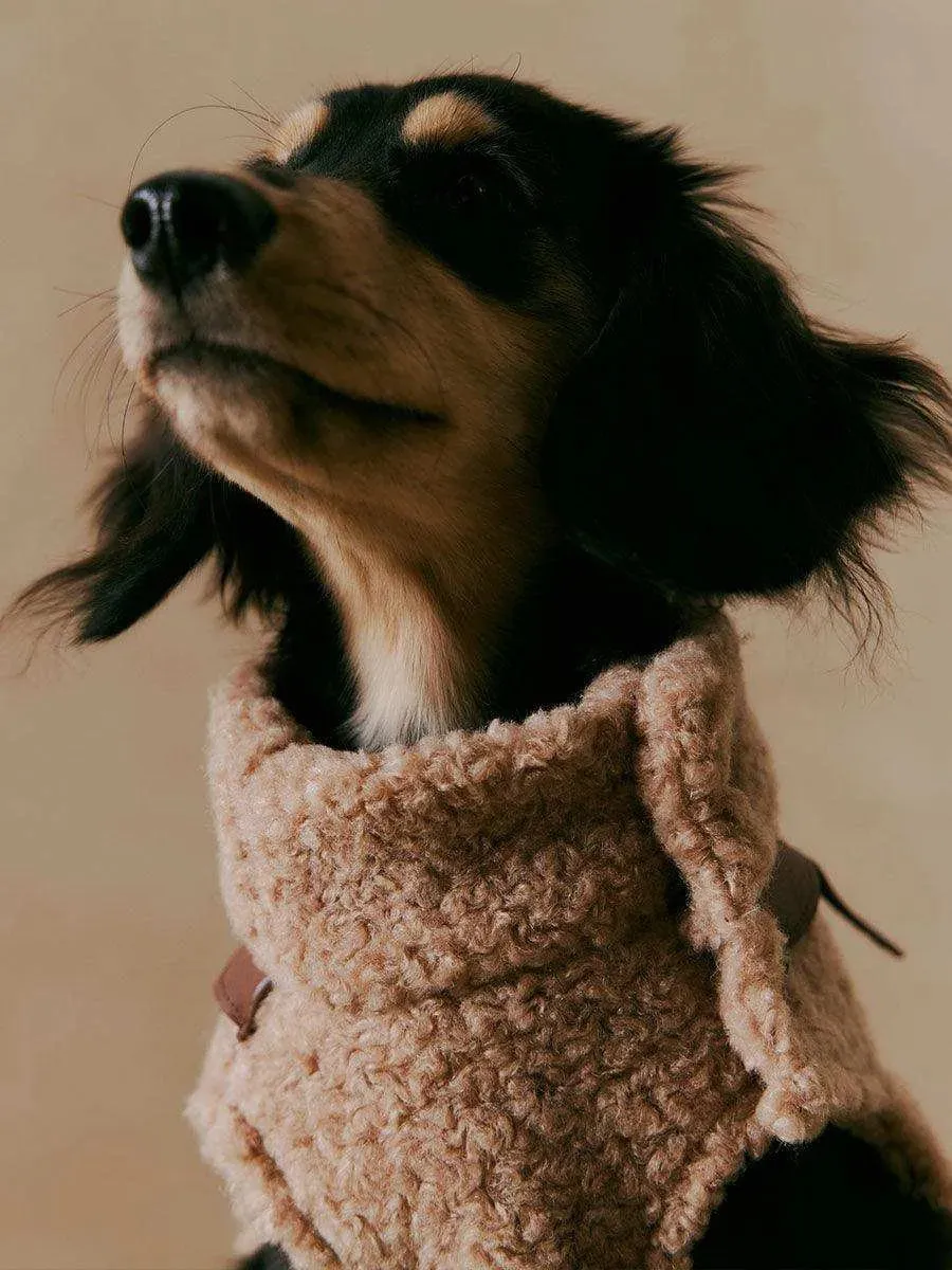 Luxe Lamb Wool Dog Winter Vest