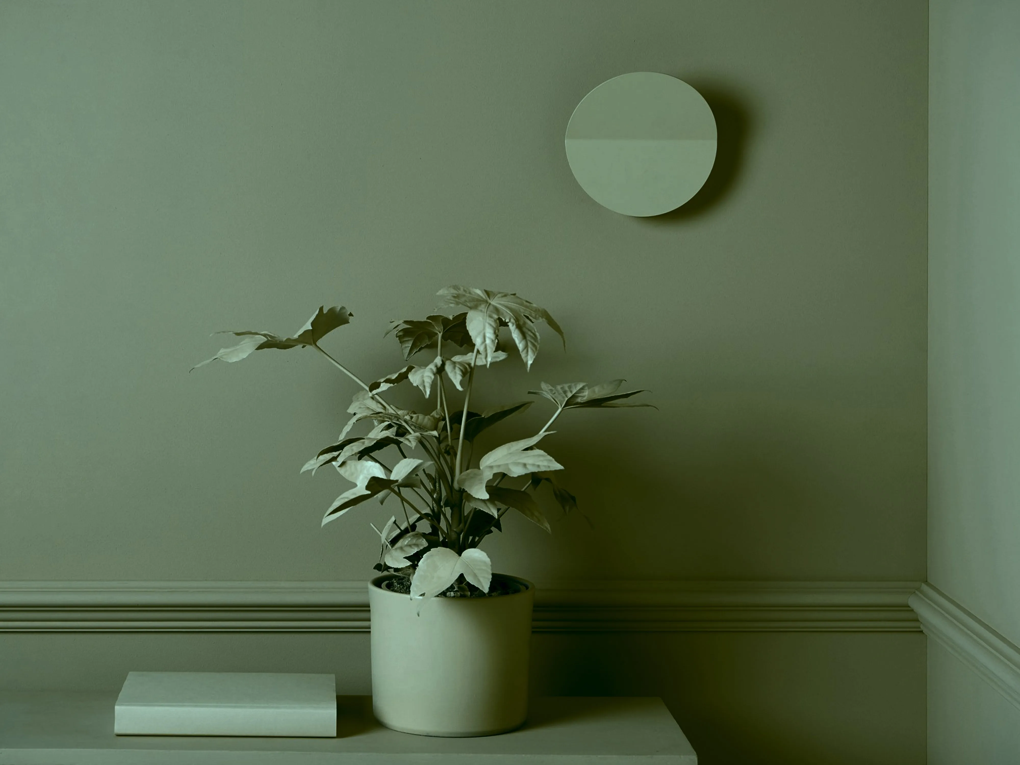 Olive green diffuser wall light